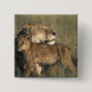 Kenia, Masai-Mara-Wildreservat, Löwin Button