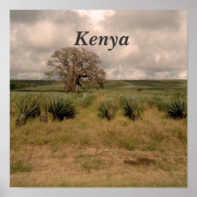 Kenia Poster (Vorne)