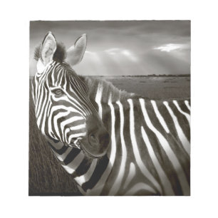 Kenia. Schwarz-Weiß von Zebra und Ebene. Notizblock