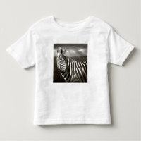 Kenia. Schwarz & Weiß von Zebra und schlicht.