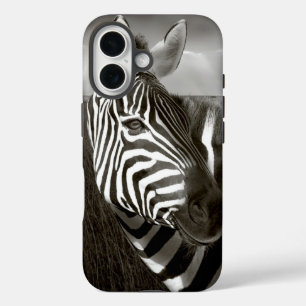 Kenia. Schwarzweiß von Zebra und Ebene. iPhone 16 Hülle