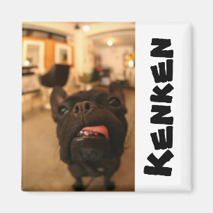 Kenken Magneten E Magnet