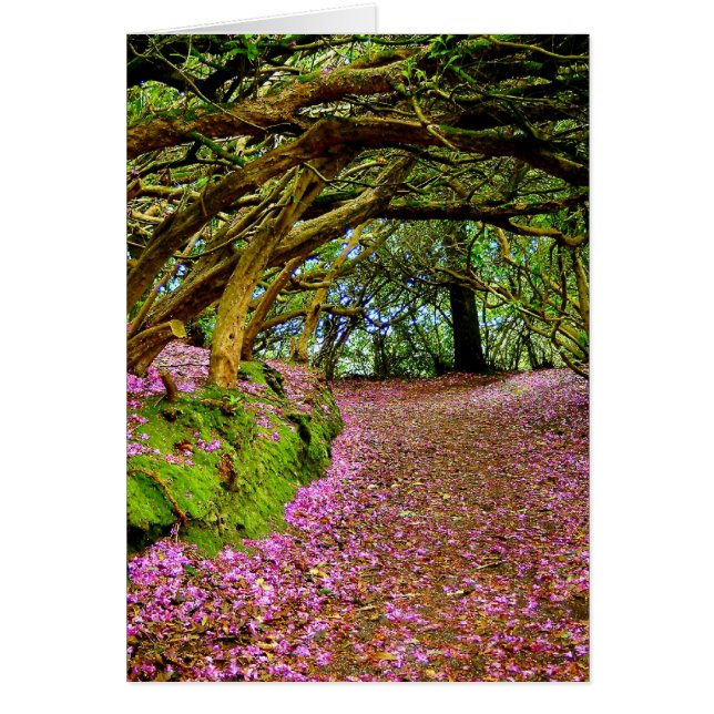 Kenmare Irland (Vorne)