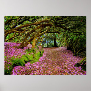 Kenmare Rhododendron Tunnel - Die.. - Individuell Poster