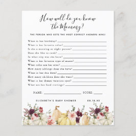 Kenne die Mami | Baby Showspiel