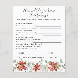 Kenne die Mami | Baby Showspiel