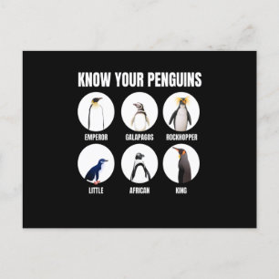 Kennen Sie Ihre Pinguine Pinguin Snow Bird Postkarte