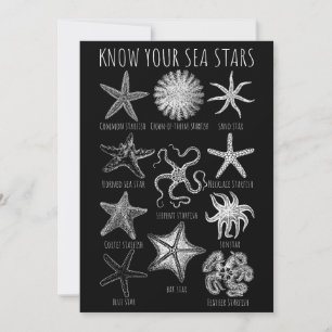 Kennen Sie Ihre Seesterne - Starfish Groups Einladung