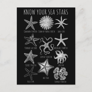 Kennen Sie Ihre Seesterne - Starfish Groups Postkarte