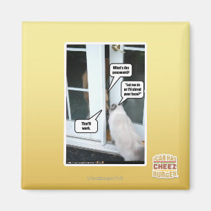 Kennwort bitte magnet