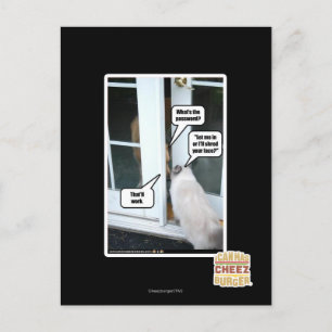 Kennwort bitte postkarte