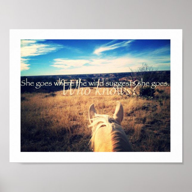 Kenny Chesney Country Western Cowgirl Horse Poster (Vorne)