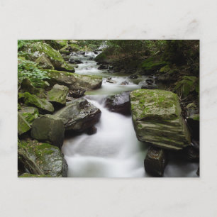 Kenny Creek Falls Postkarte