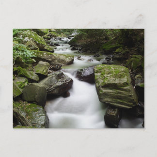 Kenny Creek Falls Postkarte