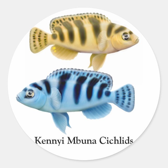 Kennyi African Rift Lake Cichlids Sticker (Vorderseite)