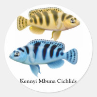 Kennyi African Rift Lake Cichlids Sticker