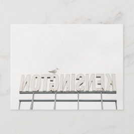 KENSINGTON MARKET SIG, TORONTO, KANADA POSTKARTE