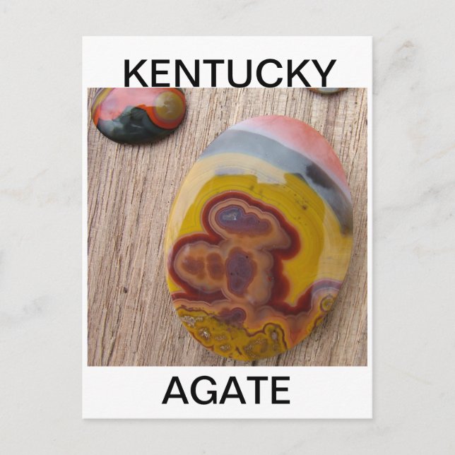 Kentucky Agate für Rockhounds Postkarte (Vorderseite)