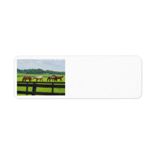 Kentucky Bluegrass-Adressetiketten