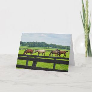 Kentucky Bluegrass card Karte