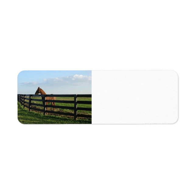 Kentucky Bluegrass Country (Vorne)