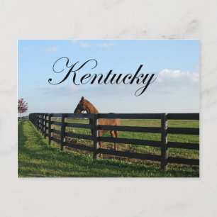 Kentucky Bluegrass Country Postkarte