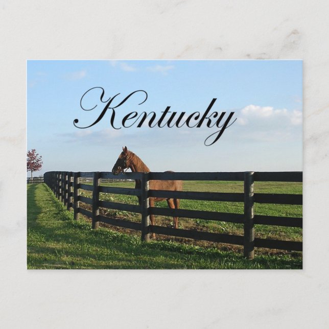 Kentucky Bluegrass Country Postkarte (Vorderseite)