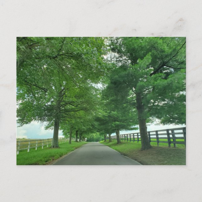 Kentucky Bluegrass Postkarte (Vorderseite)