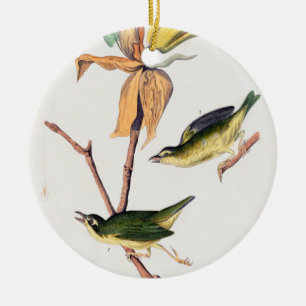 Kentucky-Fliegenschnäpper-Waldsänger-Vögel-Illustr Keramik Ornament