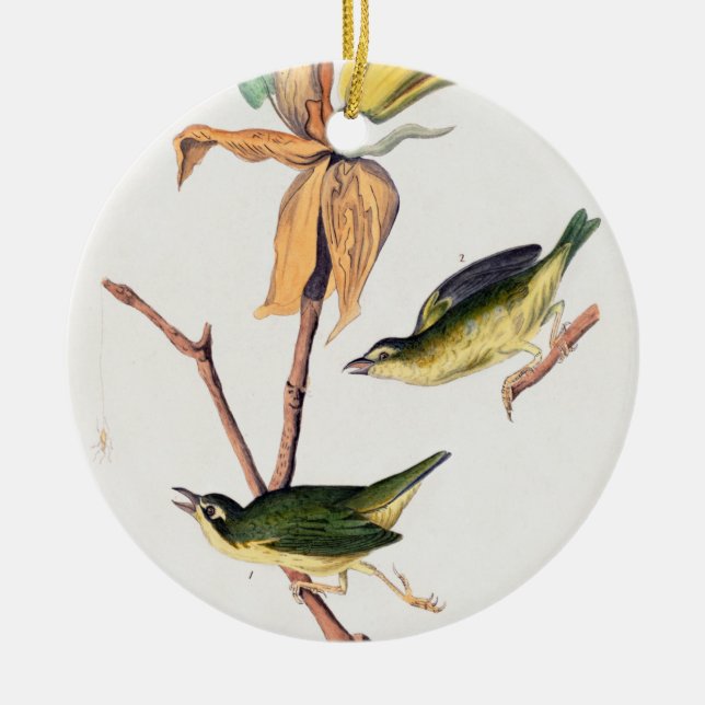 Kentucky Fly fing Warbler Birds Illustration Keramik Ornament (Vorne)