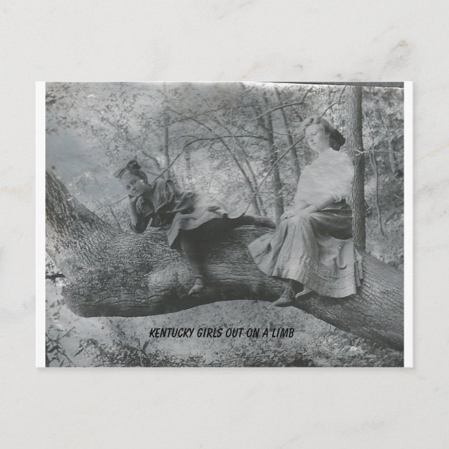 Kentucky Girls auf einem Limb Postkarte (Vorderseite)