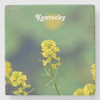 Kentucky-Goldrute Steinuntersetzer