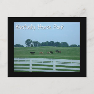 Kentucky Horse Park Postkarte