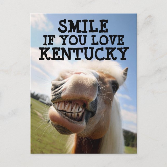 KENTUCKY HORSE Postkarte (Vorderseite)