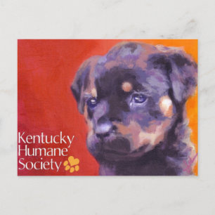 Kentucky Humane Society Postkarte