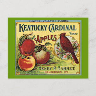 Kentucky Kardinal Bird Postkarte