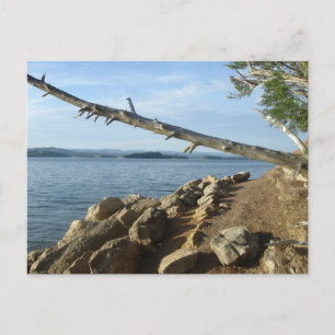 Kentucky Lake Shoreline Post Card Postkarte