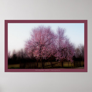 Kentucky-Pfirsich Poster