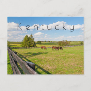 Kentucky Postcard, Pferde auf Pferdefarm Postkarte
