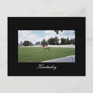 Kentucky Postcard Postkarte