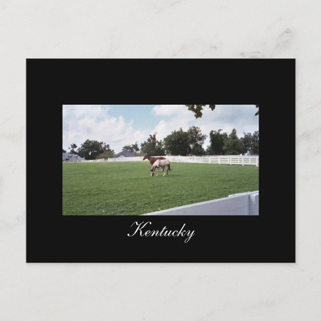 Kentucky Postcard Postkarte (Vorderseite)