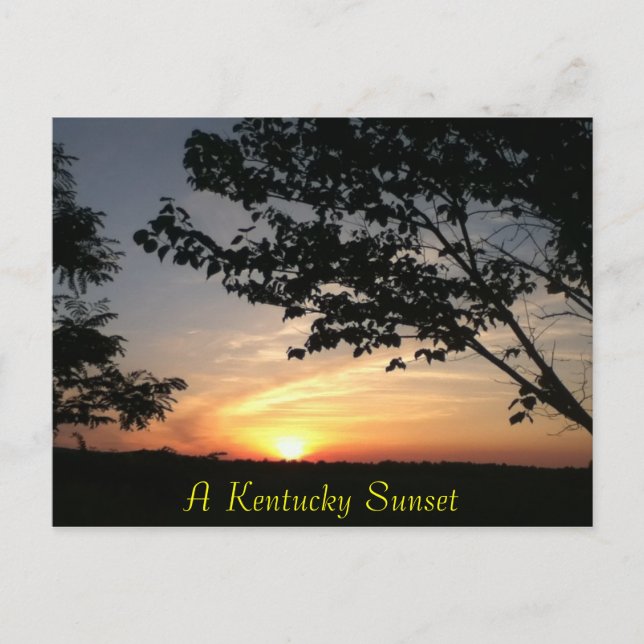 Kentucky Postkarte (Vorderseite)