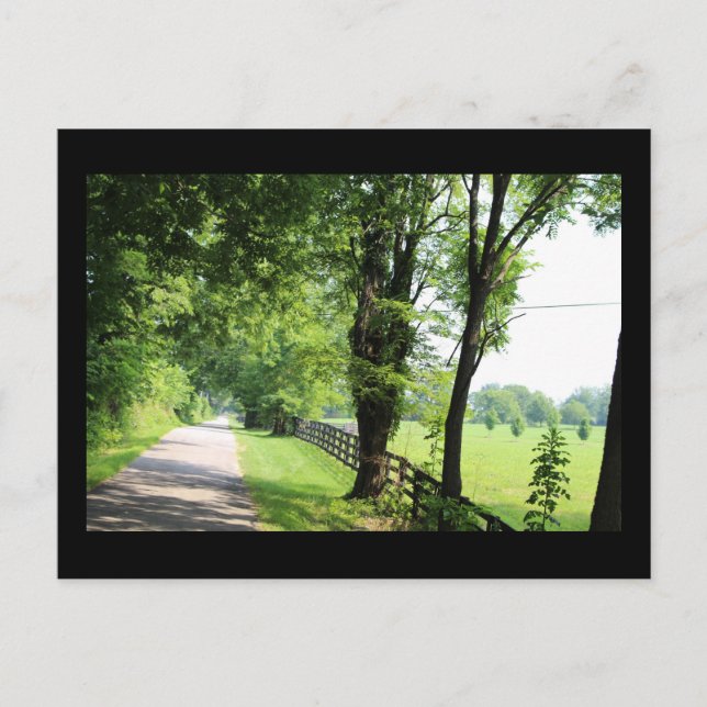 Kentucky-Postkarte Postkarte (Vorderseite)