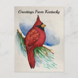 Kentucky Staat Bird Kardinal Aquarell Postkarte