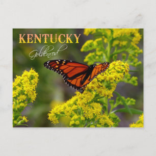 Kentucky Staat Blume: Goldenrod Postkarte
