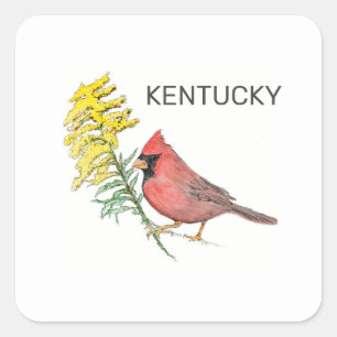 Kentucky Staat Vogel und Blume Quadratischer Aufkleber