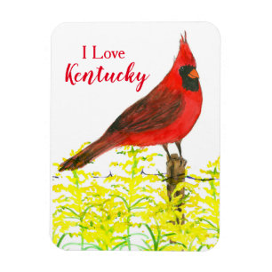 Kentucky Tourist Souvenir Kardinal Staat Bird Magnet