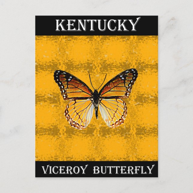 Kentucky Viceroy Butterfly Postkarte (Vorderseite)