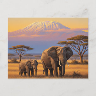 Kenya Amboseli Nationalpark Elefanten Postkarte