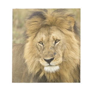 Kenya Masai Mara Notizblock